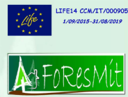 FORESMIT logo 2.png